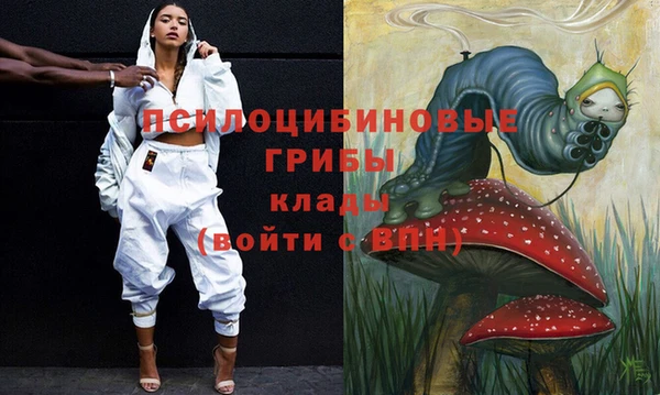 молекула духа Аркадак
