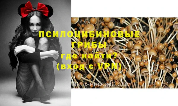 молекула духа Аркадак