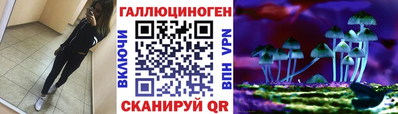 площадка как зайти  Ахтубинск  Галлюциногенные грибы прущие грибы  сколько стоит 
