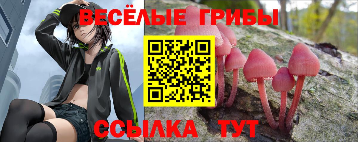 Галлюциногенные грибы прущие грибы Ахтубинск