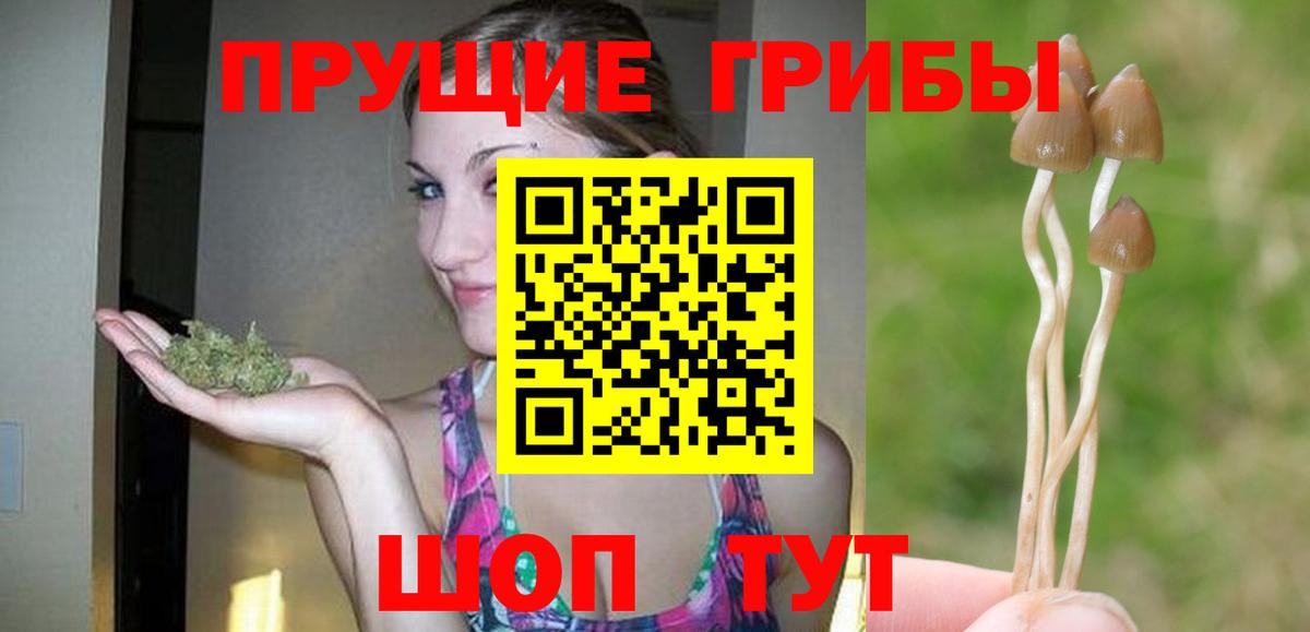 Ахтубинск  Галлюциногенные грибы ЛСД  сколько стоит  Вход с VPN  Псилоцибиновые грибы GOLDEN TEACHER 